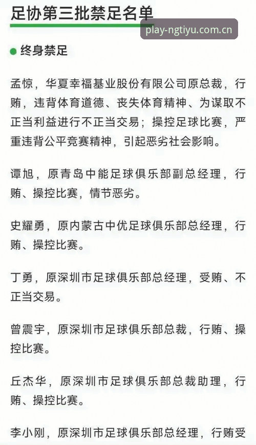 中国足协第三批禁足名单深度解读：ng体育平台用户指南